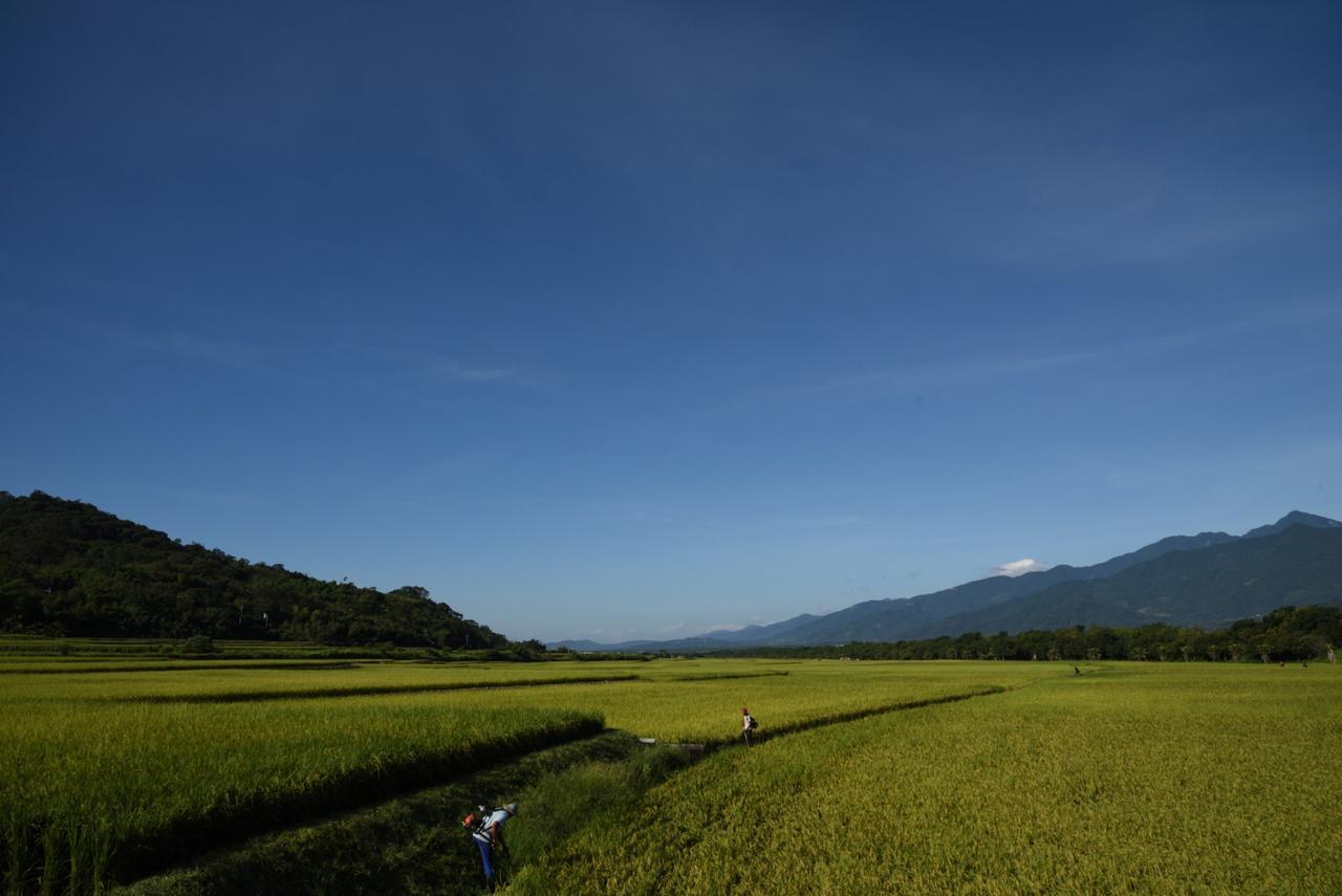 Lost And Find Homestay Guanshan Extérieur photo