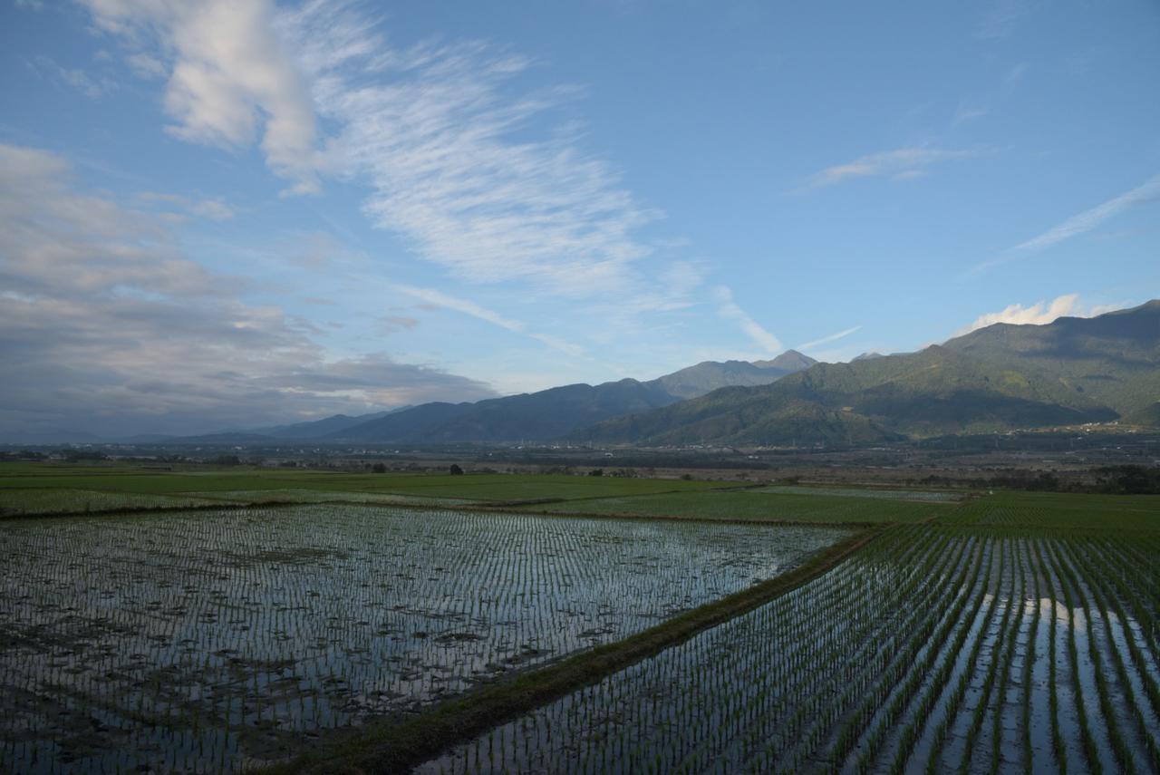 Lost And Find Homestay Guanshan Extérieur photo