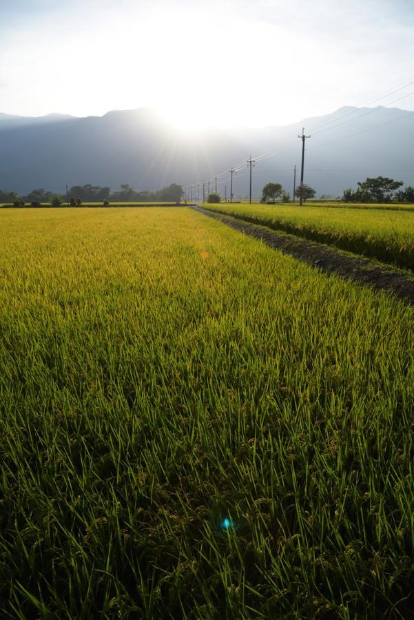 Lost And Find Homestay Guanshan Extérieur photo